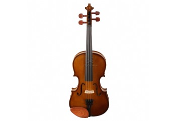 Stagg VN Violin 1/4 (5-7 Yaş Grubu) - Keman