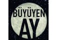 Büyüyenay Yayınları